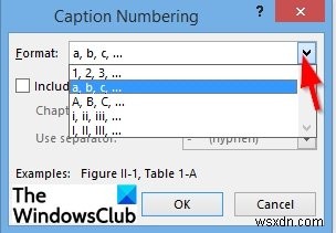 How to insert a Caption in Microsoft Word