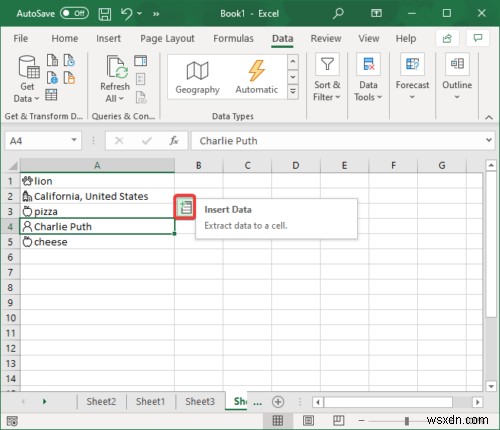 How to use Automatic Data Type feature in Microsoft Excel