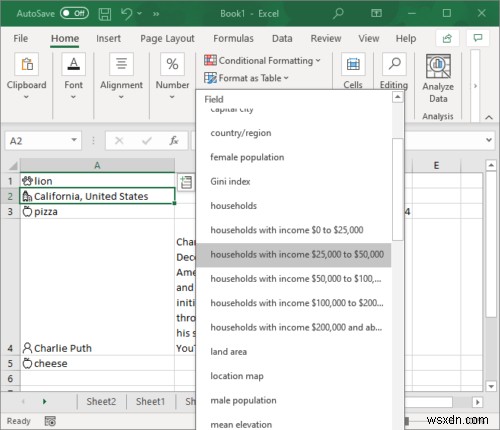 How to use Automatic Data Type feature in Microsoft Excel