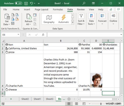 How to use Automatic Data Type feature in Microsoft Excel