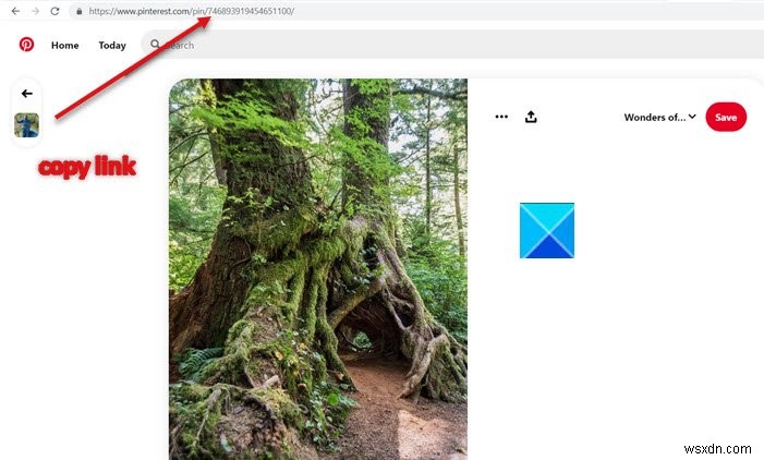 How to embed Pinterest Pins in OneNote or Word