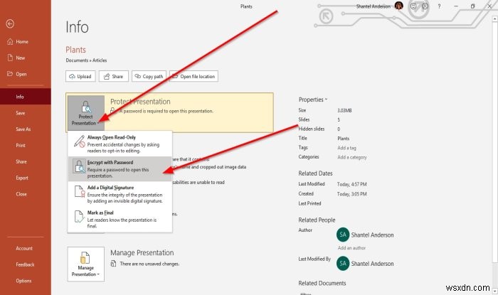 How to set, change or delete a password for a PowerPoint presentation