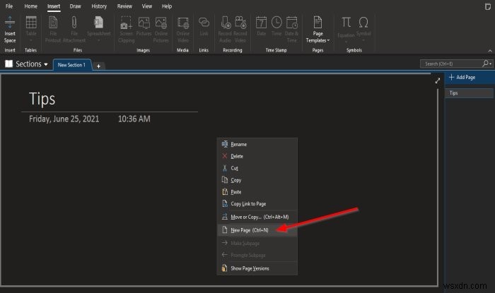 Basic OneNote tutorials for beginners to get started