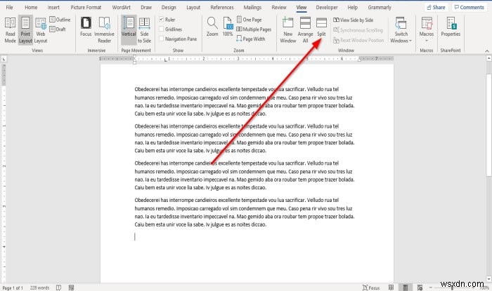 How to display and work with multiple windows in Microsoft Word