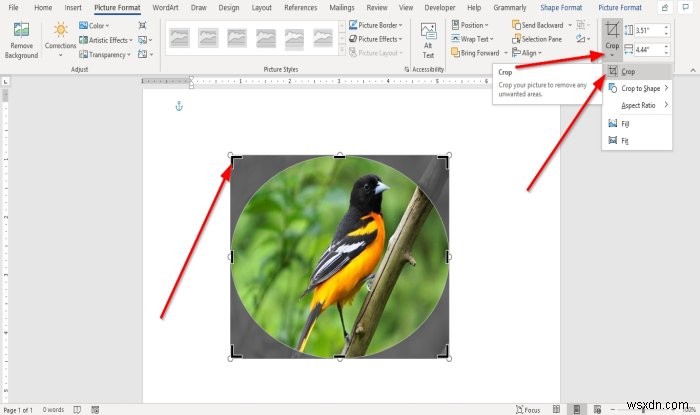 How to insert a Picture into a Shape in Microsoft Word