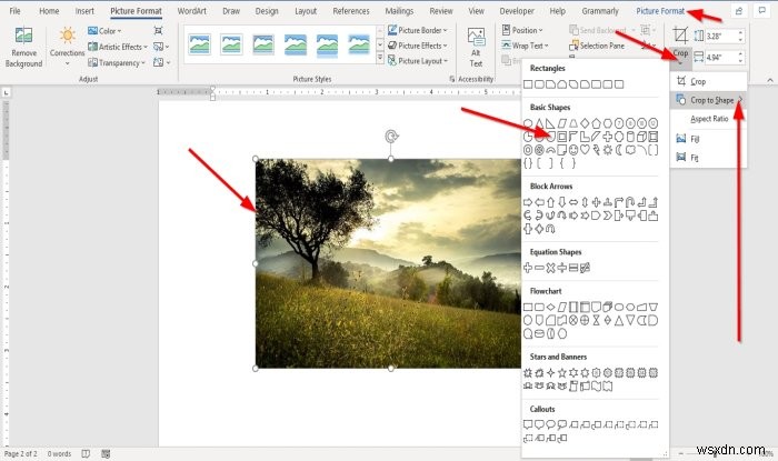 How to insert a Picture into a Shape in Microsoft Word