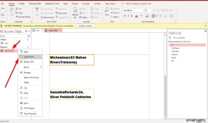 How to create Labels in Microsoft Access