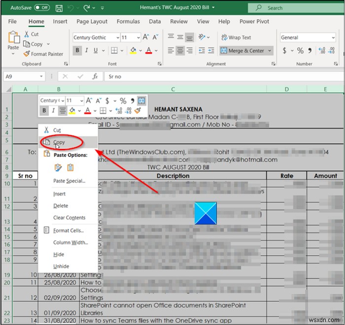 How to copy Column Width from source to another spreadsheet in Excel