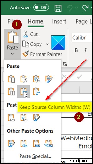 How to copy Column Width from source to another spreadsheet in Excel