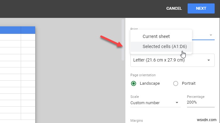 How to print selected cells in Microsoft Excel or Google Sheets