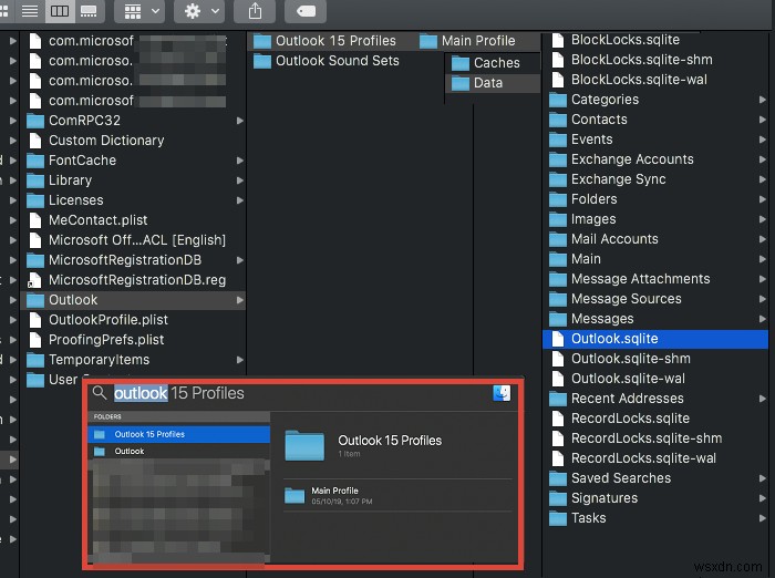 Outlook can’t upgrade your database in macOS