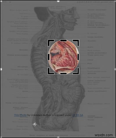 How to create Zoom animation effect in PowerPoint slide