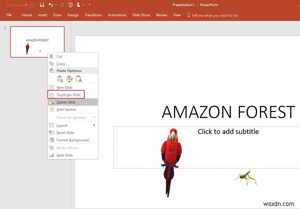 How to use Morph Transition feature in PowerPoint