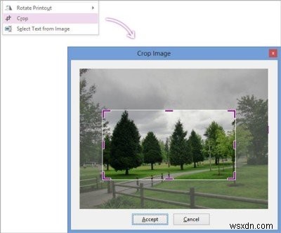 Onetastic add-in for OneNote adds more features to OneNote