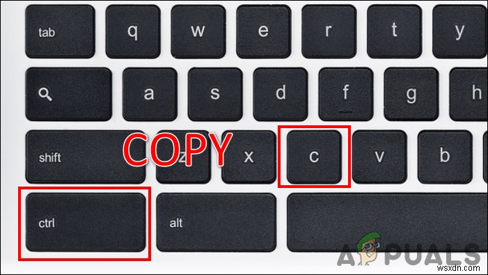 How to Copy and Paste on a Chromebook?