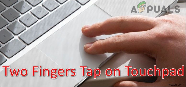 How to Copy and Paste on a Chromebook?