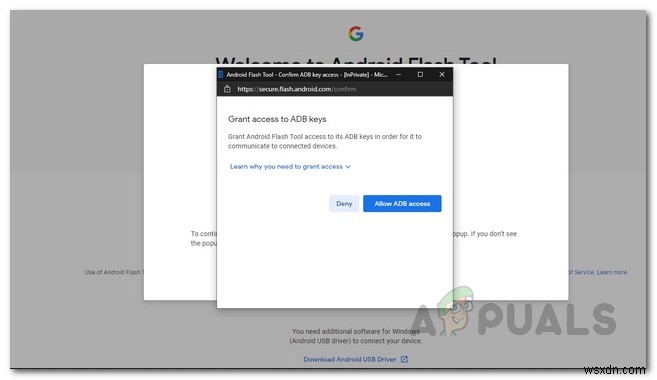 How to Install the Android 12 Public Beta on Supported Devices