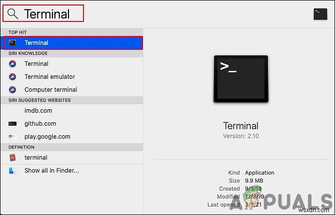 How to Install and Uninstall Homebrew on macOS?