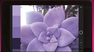 How to get Started with Web Development on Android