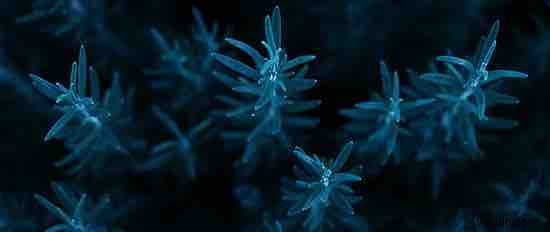 20 Wallpapers for Dark Mode on Ultra Wide Screen Monitors