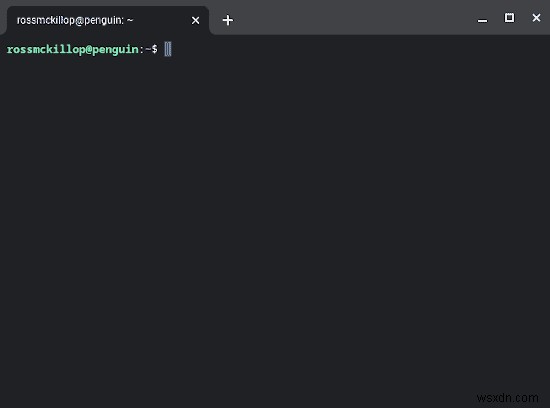 How to Install Linux Apps on a Chromebook
