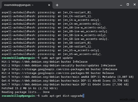 How to Install Linux Apps on a Chromebook