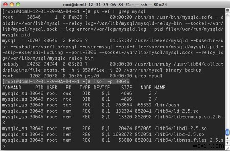 How to get a list of open files, sockets, and pipes in Linux