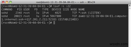How to get a list of open files, sockets, and pipes in Linux