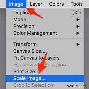 How to Resize Images Using the Gimp