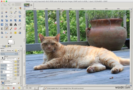 How to Resize Images Using the Gimp