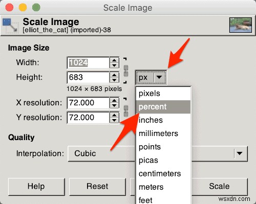 How to Resize Images Using the Gimp