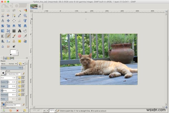 How to Resize Images Using the Gimp