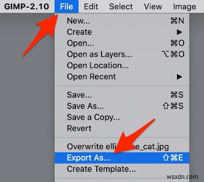 How to Resize Images Using the Gimp
