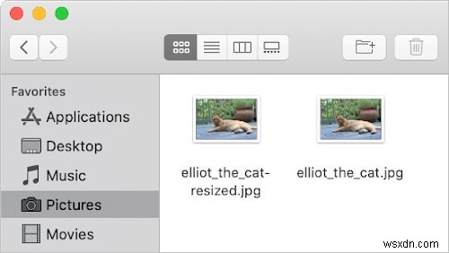 How to Resize Images Using the Gimp
