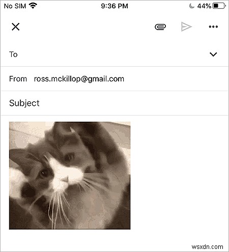 How to Use the Google Keyboard on an iPhone
