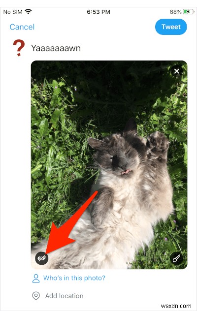 How to Tweet an iOS Live Photo as an Animated GIF on Twitter
