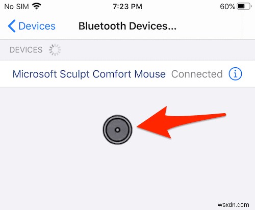 How to Control an iPad or iPhone With a Mouse