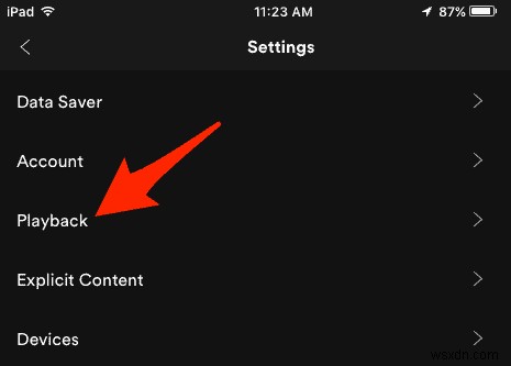 How to Make Spotify Louder on an iPhone or iPad