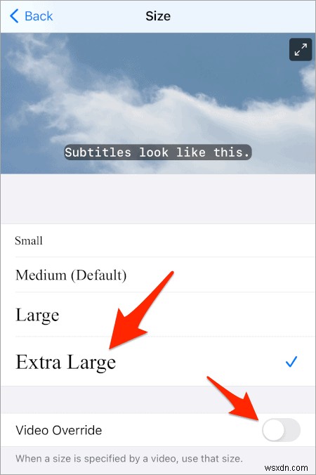 How to Change the Netflix Subtitles on Your iPad or iPhone