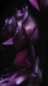 Download Now: The iOS 9 Wallpapers