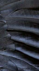 Download Now: The iOS 9 Wallpapers