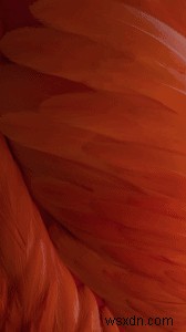 Download Now: The iOS 9 Wallpapers