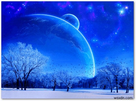 Customize the Background on Your iPad with Free Nature Themed Wallpapers