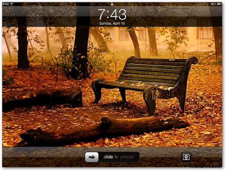 Customize the Background on Your iPad with Free Nature Themed Wallpapers