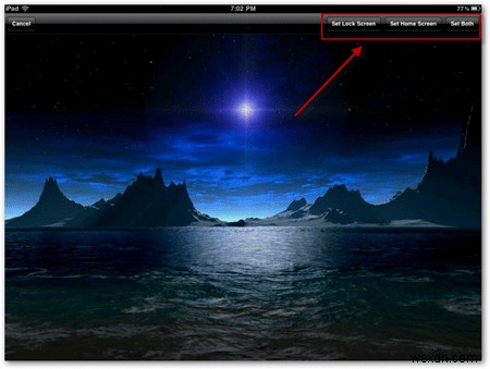 Customize the Background on Your iPad with Free Nature Themed Wallpapers