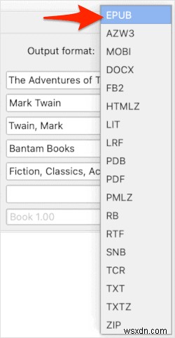How to Convert a PDF File to an EPUB File