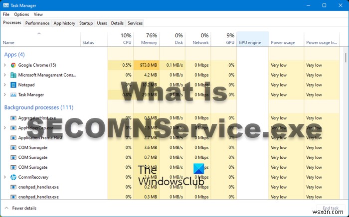 What is SECOMNService.exe? Can I disable it?