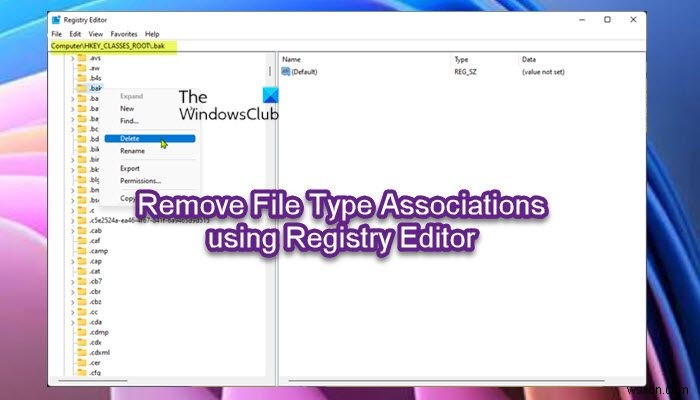How to remove File Type Associations using Registry Editor in Windows 11/10