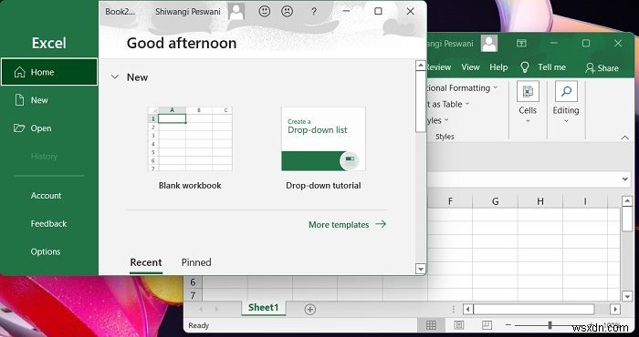 How to open two Excel files in separate windows