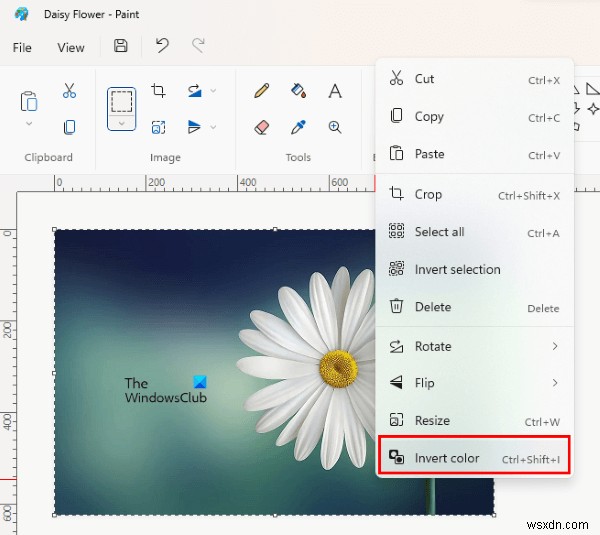 How to invert the color of an image on Windows PC